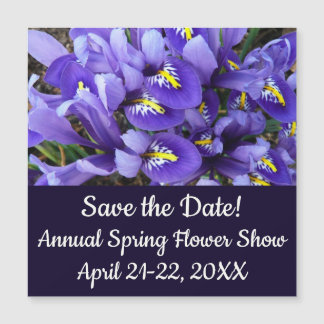Miniature Blue Irises Spring Floral