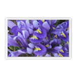 Miniature Blue Irises Spring Floral Acrylic Tray