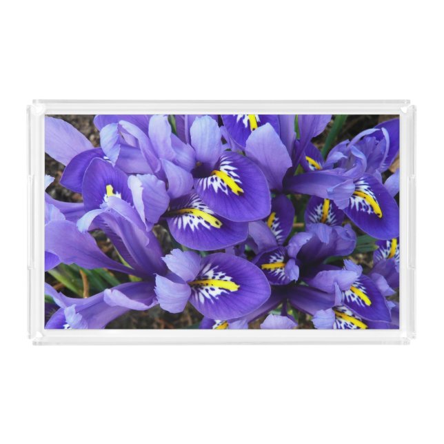 Miniature Blue Irises Spring Floral Acrylic Tray (Front)