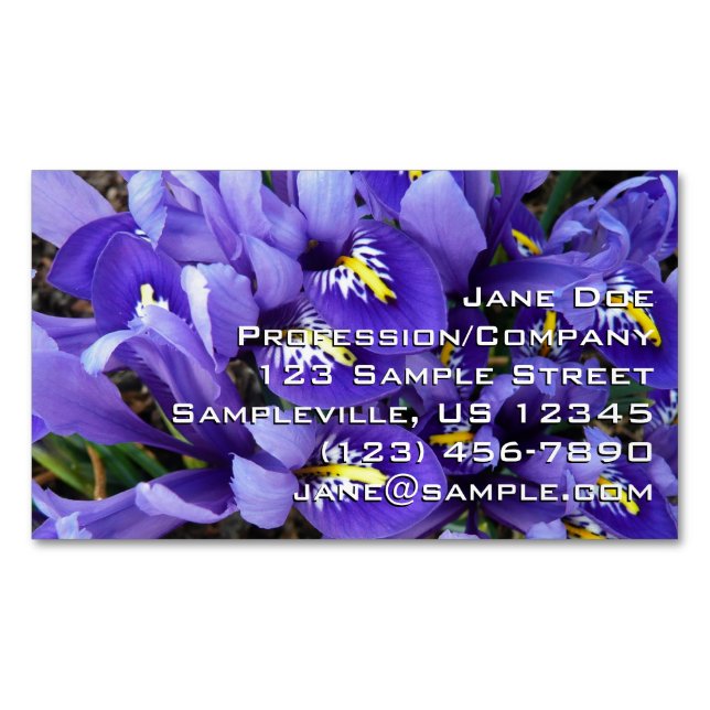 Miniature Blue Irises Spring Floral Business Card Magnet (Front)