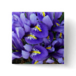 Miniature Blue Irises Spring Floral Button