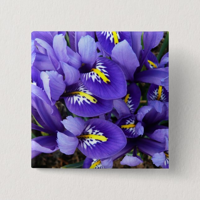 Miniature Blue Irises Spring Floral Button (Front)