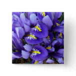 Miniature Blue Irises Spring Floral Button