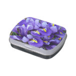 Miniature Blue Irises Spring Floral Candy Tin