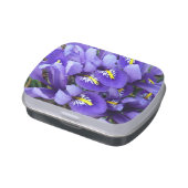 Miniature Blue Irises Spring Floral Candy Tin (Side)
