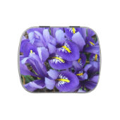 Miniature Blue Irises Spring Floral Candy Tin (Top)