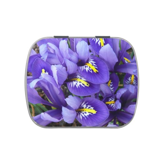Miniature Blue Irises Spring Floral Candy Tin (Top)