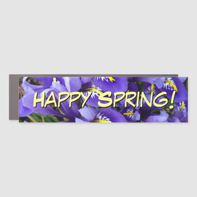Miniature Blue Irises Spring Floral Car Magnet (Front)