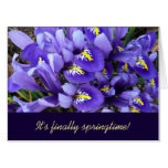 Miniature Blue Irises Spring Floral Card