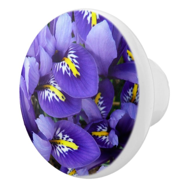 Miniature Blue Irises Spring Floral Ceramic Knob (Right)