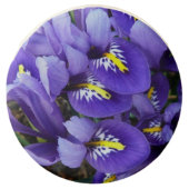 Miniature Blue Irises Spring Floral Chocolate Covered Oreo (Front)