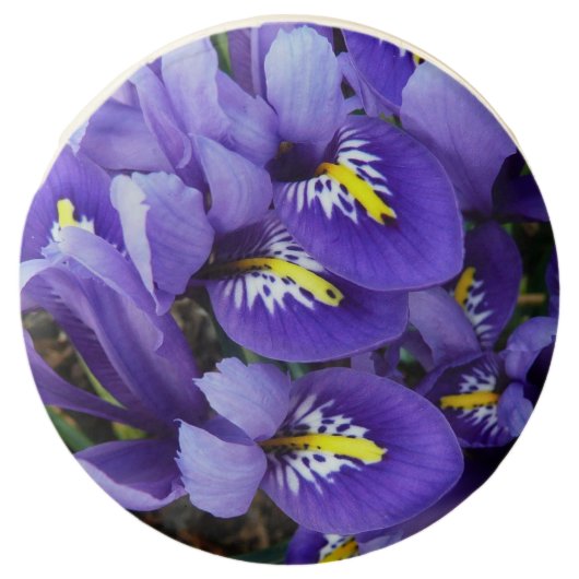 Miniature Blue Irises Spring Floral Chocolate Covered Oreo (Front)