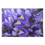 Miniature Blue Irises Spring Floral Cloth Placemat