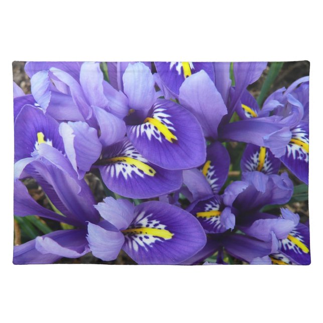 Miniature Blue Irises Spring Floral Cloth Placemat (Front)