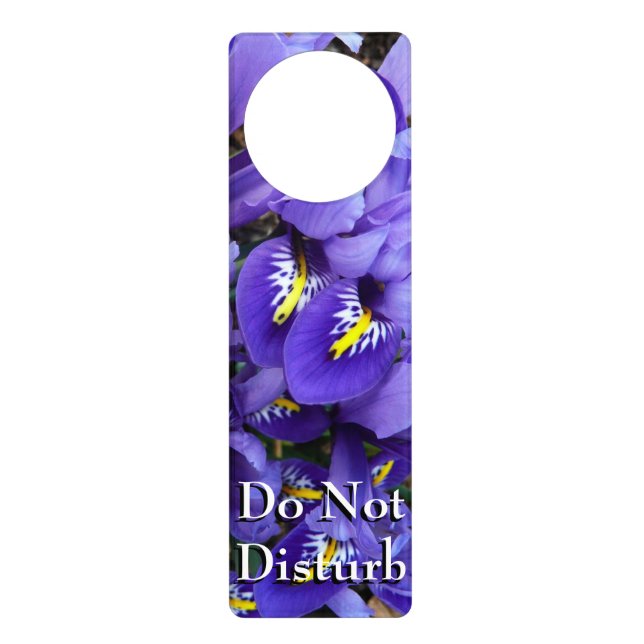 Miniature Blue Irises Spring Floral Door Hanger (Front)
