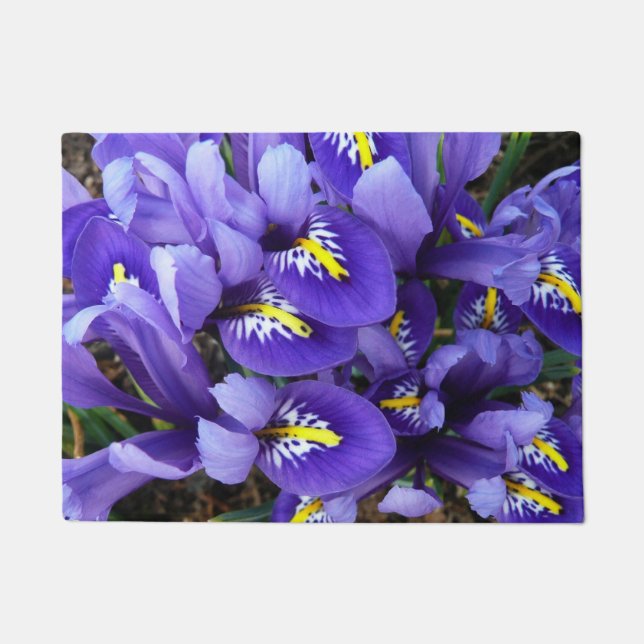 Miniature Blue Irises Spring Floral Doormat (Front)