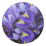 Miniature Blue Irises Spring Floral Eraser
