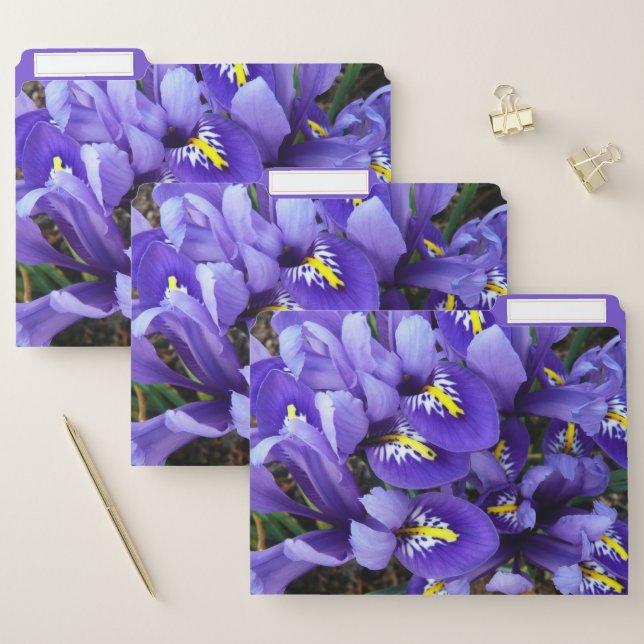 Miniature Blue Irises Spring Floral File Folder (Set)