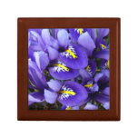 Miniature Blue Irises Spring Floral Gift Box