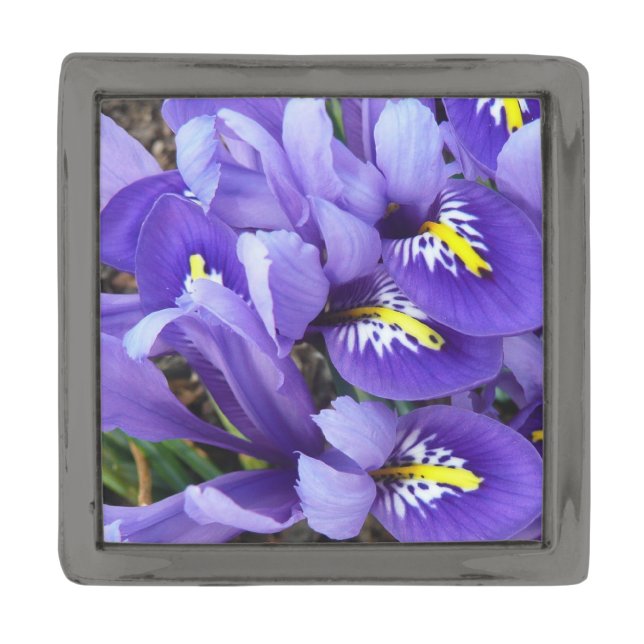 Miniature Blue Irises Spring Floral Gunmetal Finish Lapel Pin (Front)