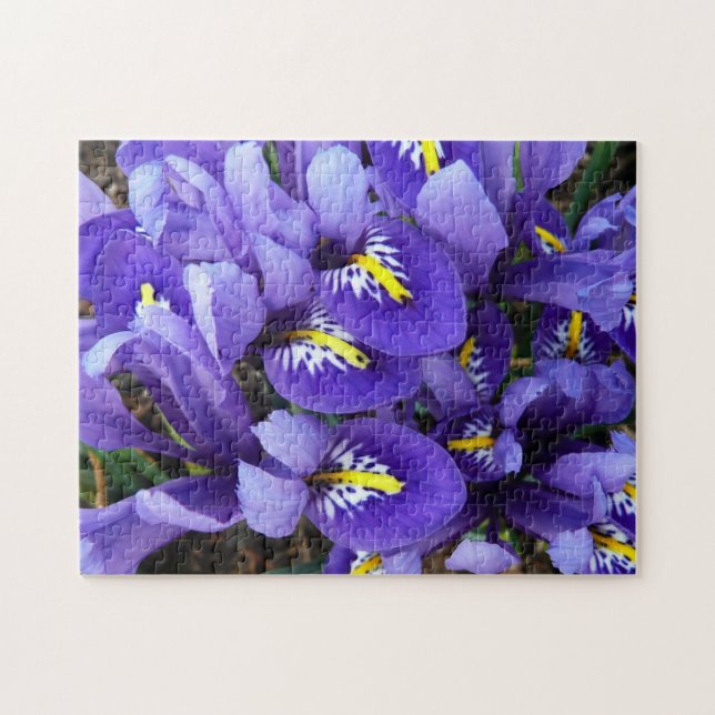 Miniature Blue Irises Spring Floral Jigsaw Puzzle (Horizontal)