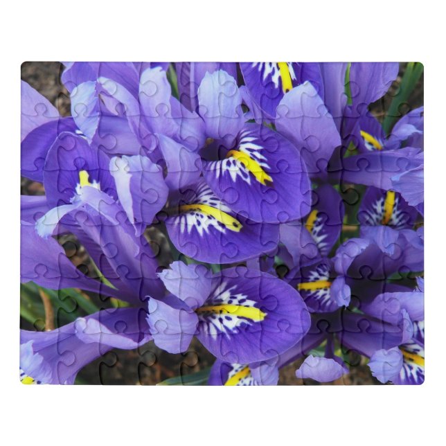 Miniature Blue Irises Spring Floral Jigsaw Puzzle (Puzzle Horizontal)