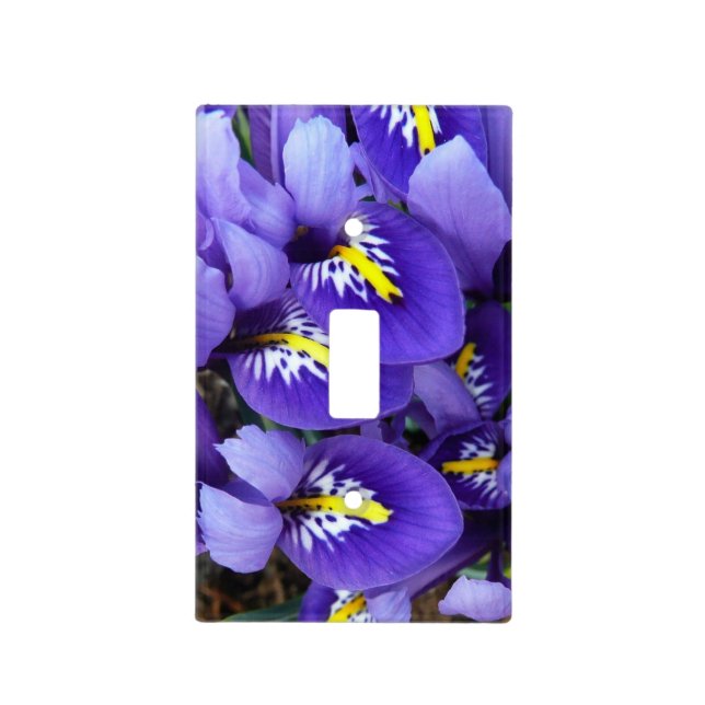 Miniature Blue Irises Spring Floral Light Switch Cover (Front)