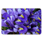 Miniature Blue Irises Spring Floral Magnet