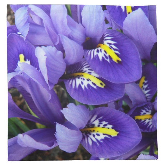 Miniature Blue Irises Spring Floral Napkin (Front)