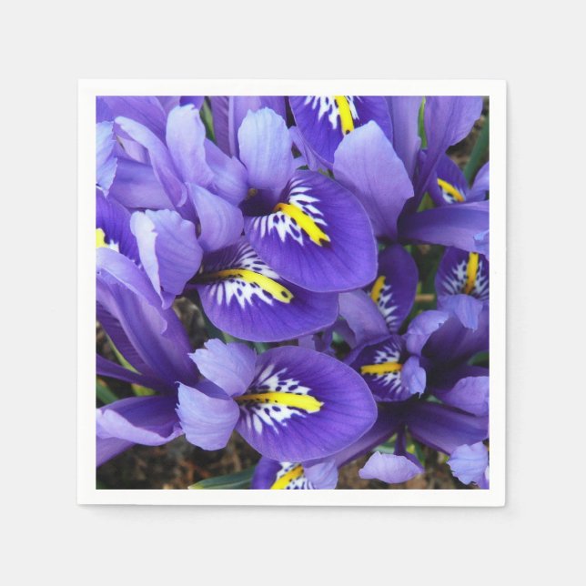 Miniature Blue Irises Spring Floral Napkins (Front)