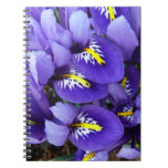 Miniature Blue Irises Spring Floral Notebook