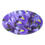 Miniature Blue Irises Spring Floral Oval Sticker