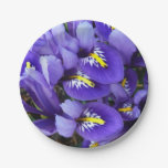 Miniature Blue Irises Spring Floral Paper Plates