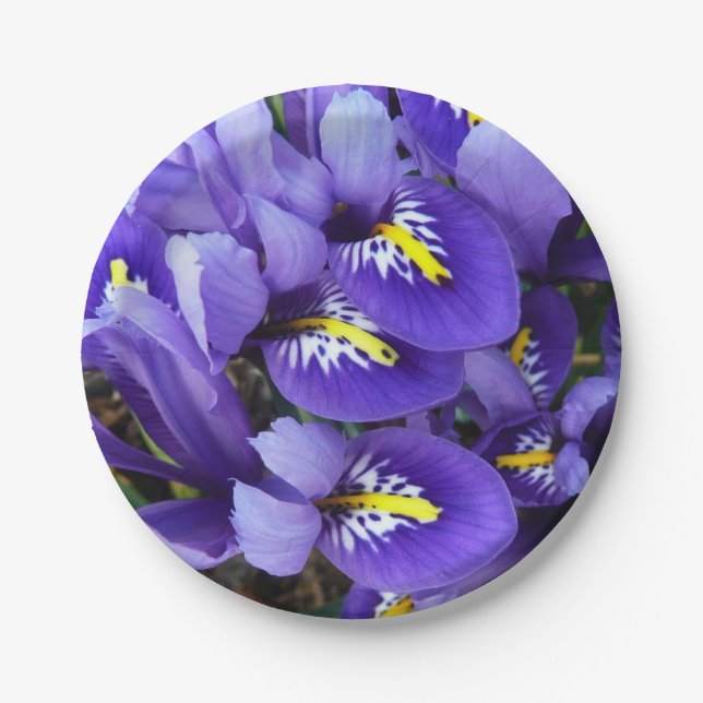 Miniature Blue Irises Spring Floral Paper Plates (Front)