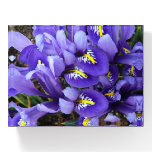 Miniature Blue Irises Spring Floral Paperweight