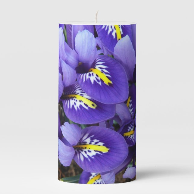 Miniature Blue Irises Spring Floral Pillar Candle (Front)