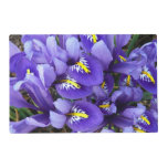 Miniature Blue Irises Spring Floral Placemat