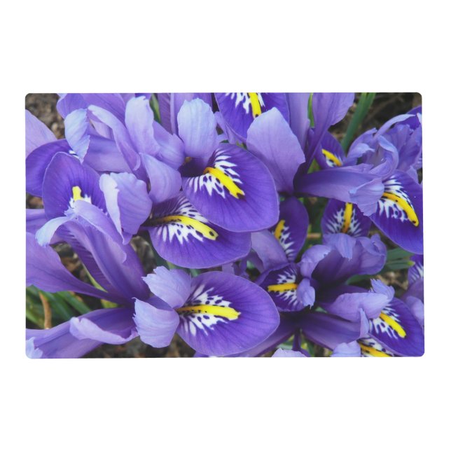Miniature Blue Irises Spring Floral Placemat (Front)