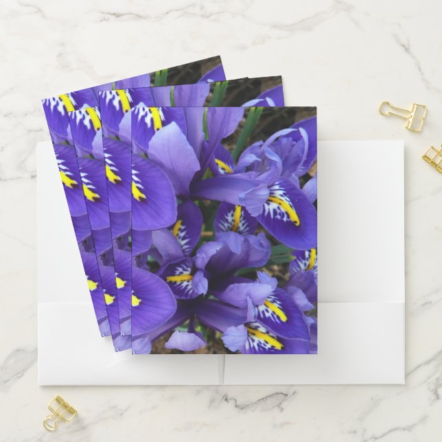 Miniature Blue Irises Spring Floral Pocket Folder (In Situ)