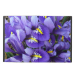 Miniature Blue Irises Spring Floral Powis iPad Air 2 Case