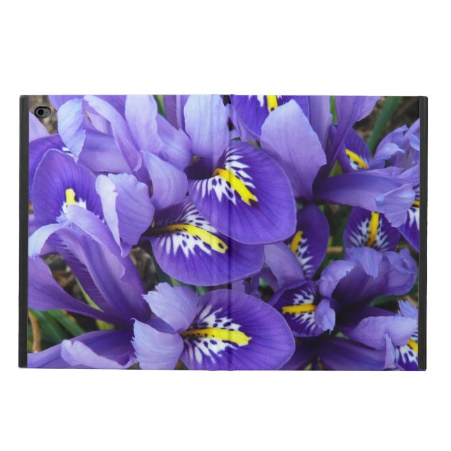 Miniature Blue Irises Spring Floral Powis iPad Air 2 Case (Outside)