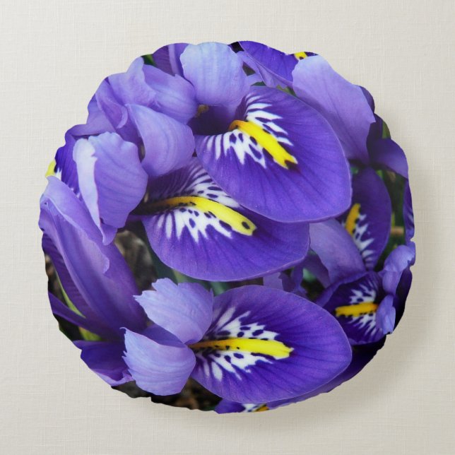 Miniature Blue Irises Spring Floral Round Pillow (Front)