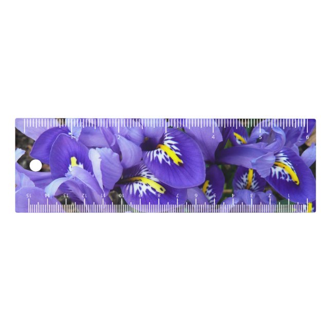Miniature Blue Irises Spring Floral Ruler (Front)