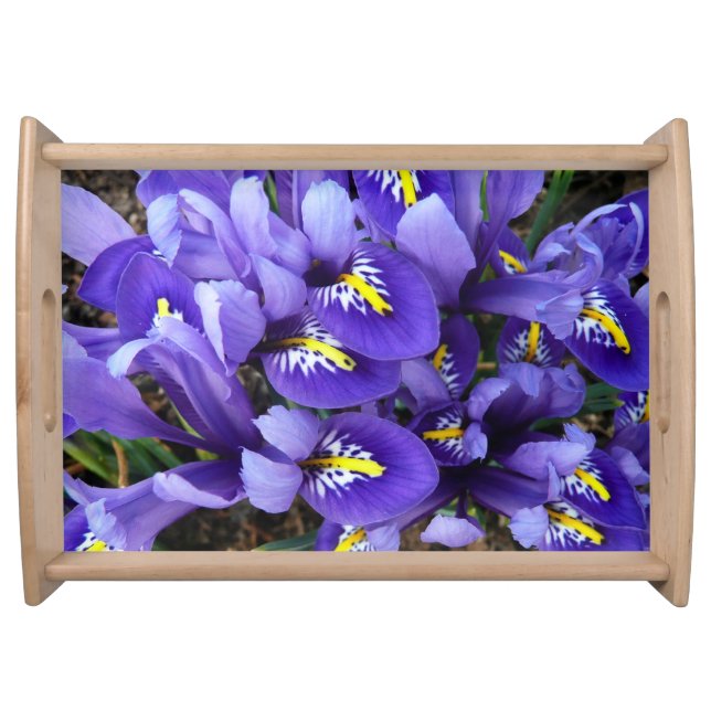 Miniature Blue Irises Spring Floral Serving Tray (Front)