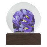 Miniature Blue Irises Spring Floral Snow Globe