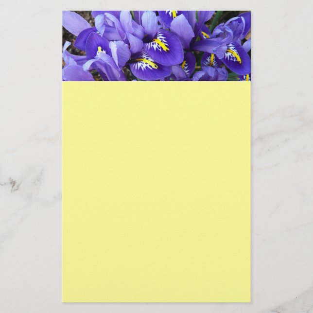 Miniature Blue Irises Spring Floral Stationery (Front)