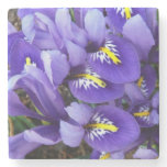 Miniature Blue Irises Spring Floral Stone Coaster