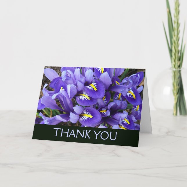 Miniature Blue Irises Spring Floral Thank You Card (Front)