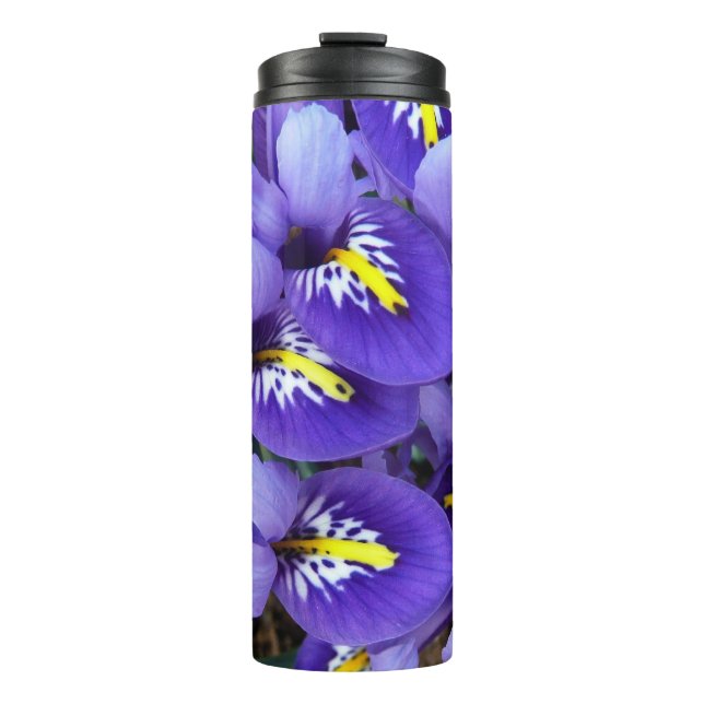 Miniature Blue Irises Spring Floral Thermal Tumbler (Front)
