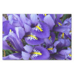 Miniature Blue Irises Spring Floral Tissue Paper